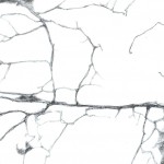 particolare
