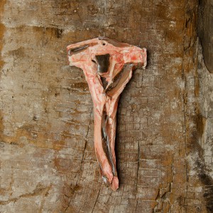 Camilla Marinoni, Incroci di terra e cielo