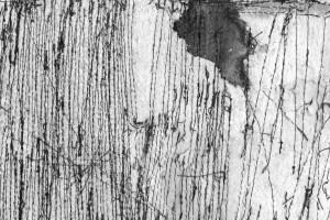 Giulio Locatelli_Radici_300dpi_bn_20 30