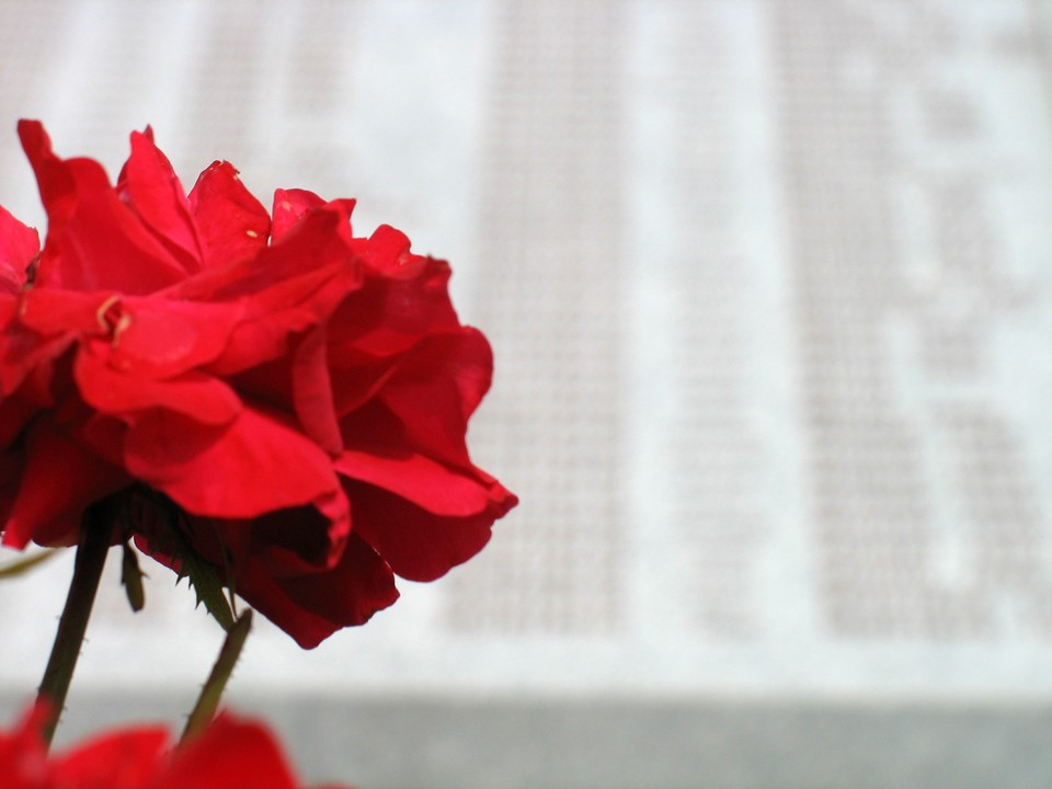 Memoriale rosa